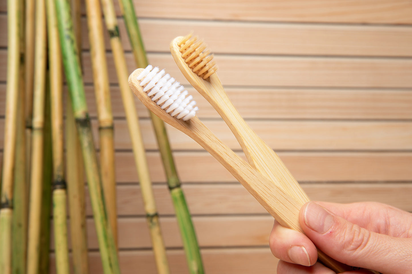 TM Rehoboth Eco-Friendly Bamboo Toothbrushes - Organic BPA-Free Soft Bristles for Natural Whitening, Biodegradable Handle, 10-Pack in Different Shapes