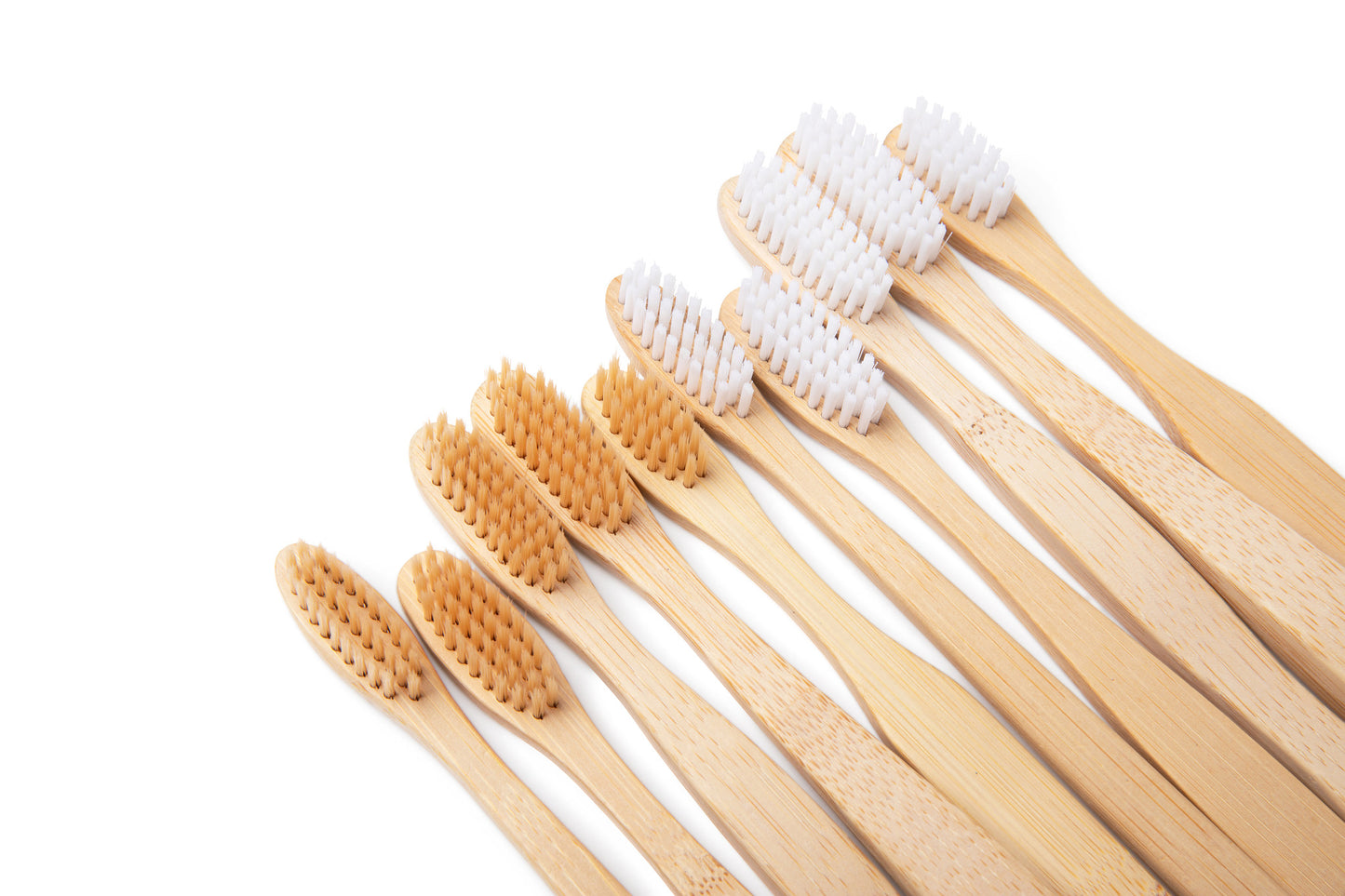 TM Rehoboth Eco-Friendly Bamboo Toothbrushes - Organic BPA-Free Soft Bristles for Natural Whitening, Biodegradable Handle, 10-Pack in Different Shapes